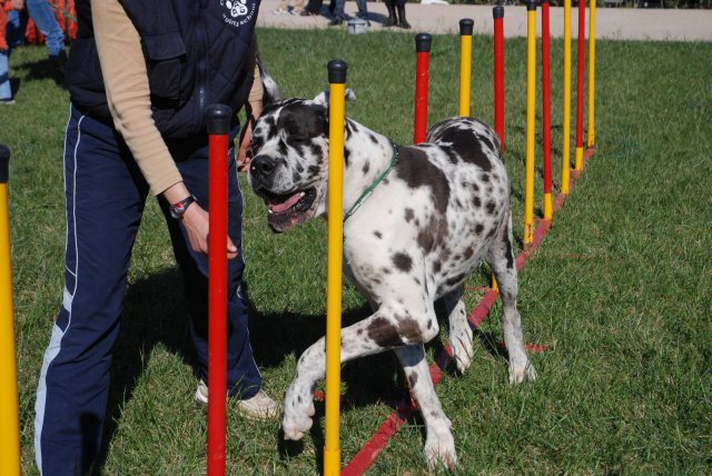 100 strade per giocare 2008